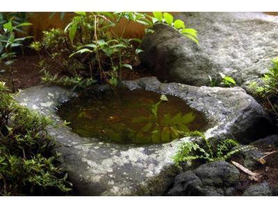 ホテル 望山亭ことぶき 上田市 部屋 写真